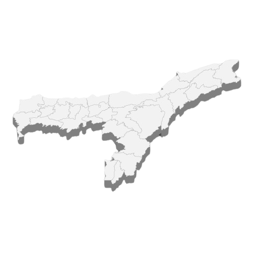 Assam 3D Image